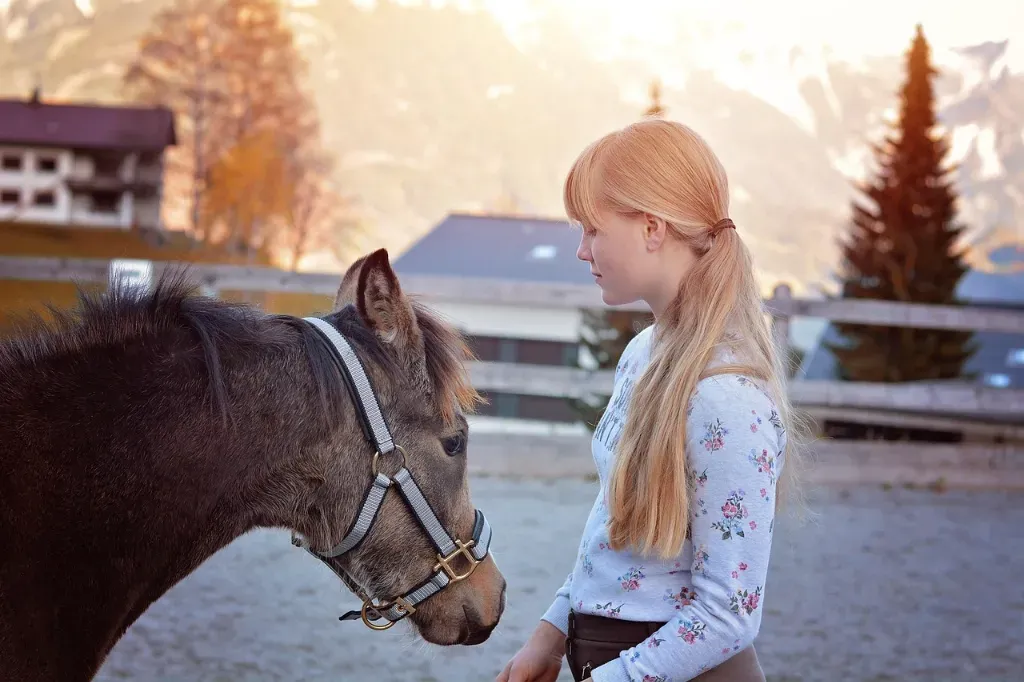 Kantar – istotny element w wyposażeniu stajni